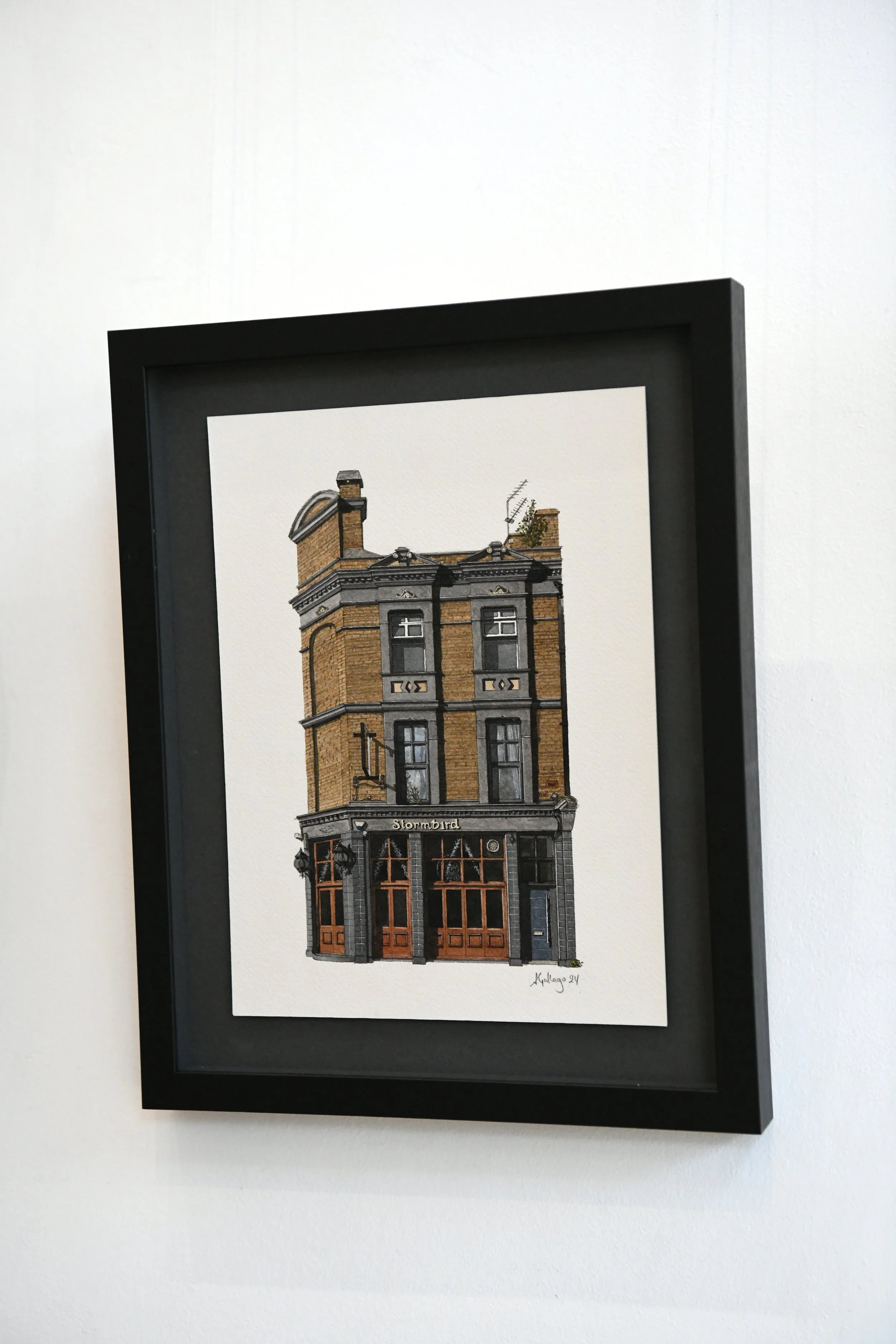 DSC_6265 edited side .jpg