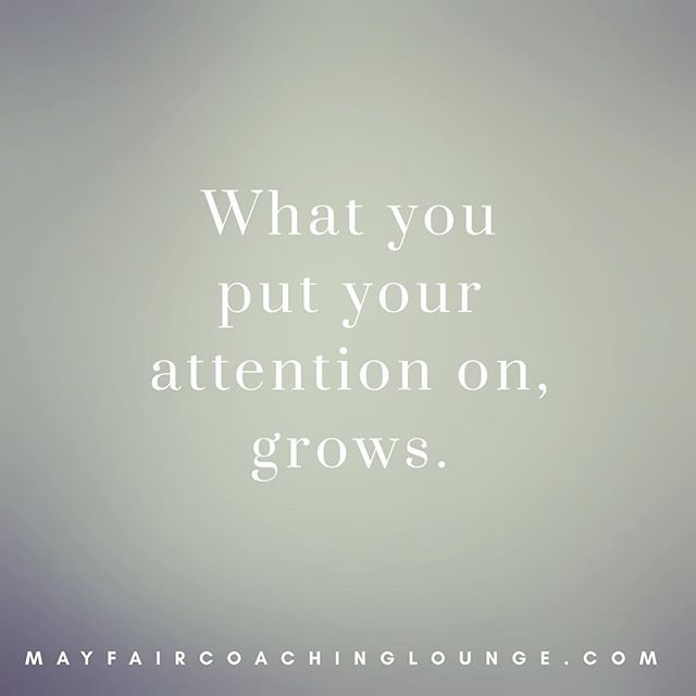 What you put your attention on, grows.

Tag someone who really needs to see this message today 👇

#anxiety #personaldevelopment #socialanxiety #personalgrowth #selfimprovement #takeachance #anxietyrecovery #anxietysupport #yougotthis #growth #selfwo