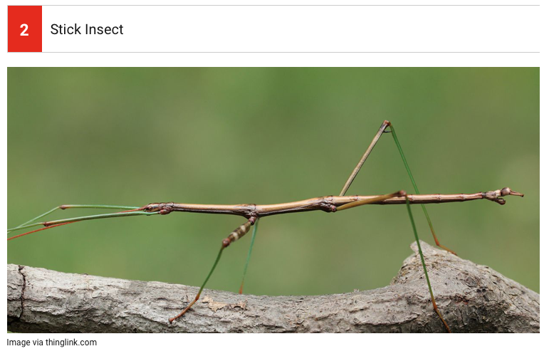 unnamed (7).png