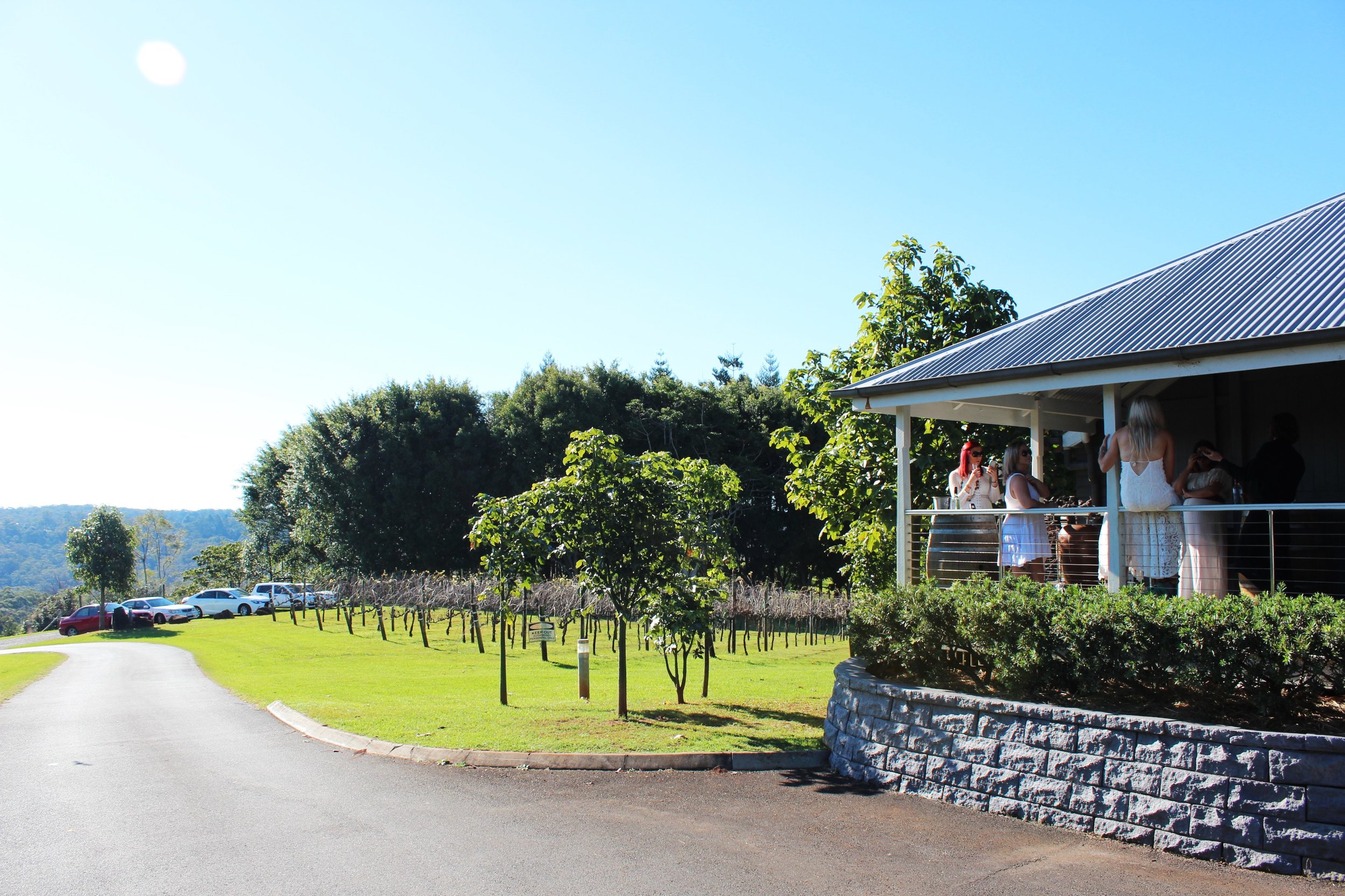 maleny cheese and wine tour