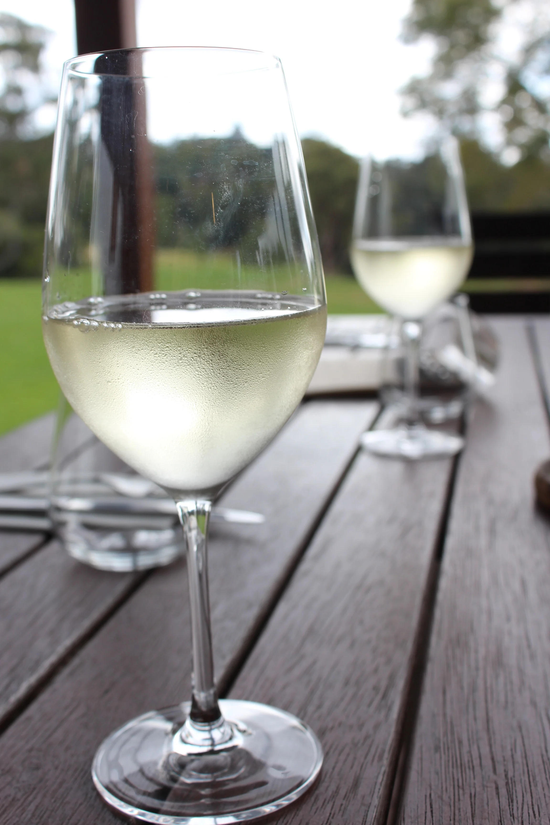 Tash Maree's wine tasting.JPG