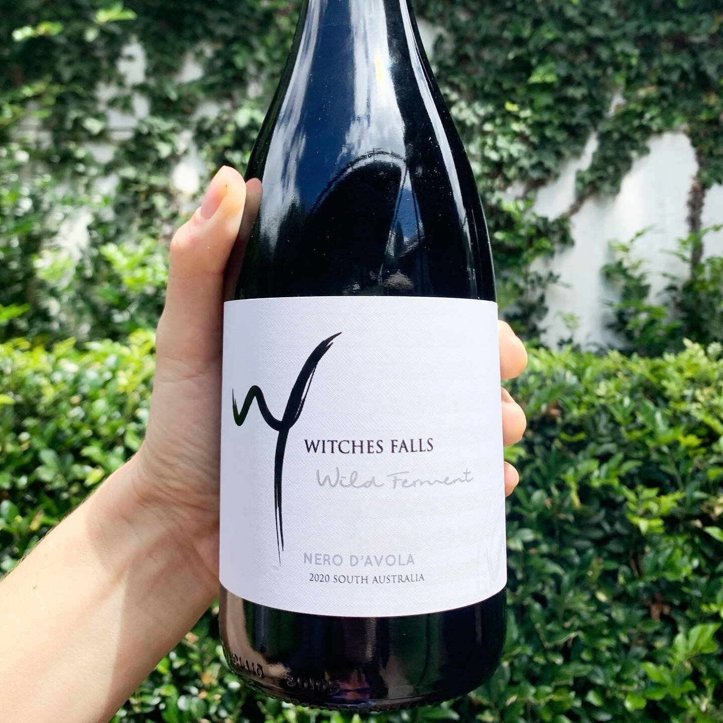 Bright, juicy &amp; balanced. The brand new Nero D&rsquo;avola from @witchesfallswinery is ticking all the boxes!

Taste like: a burst of plums, blueberries &amp; mulberries. Slightly herbaceous. 🫐

Body: medium body with well balanced tannins. ⚖️

