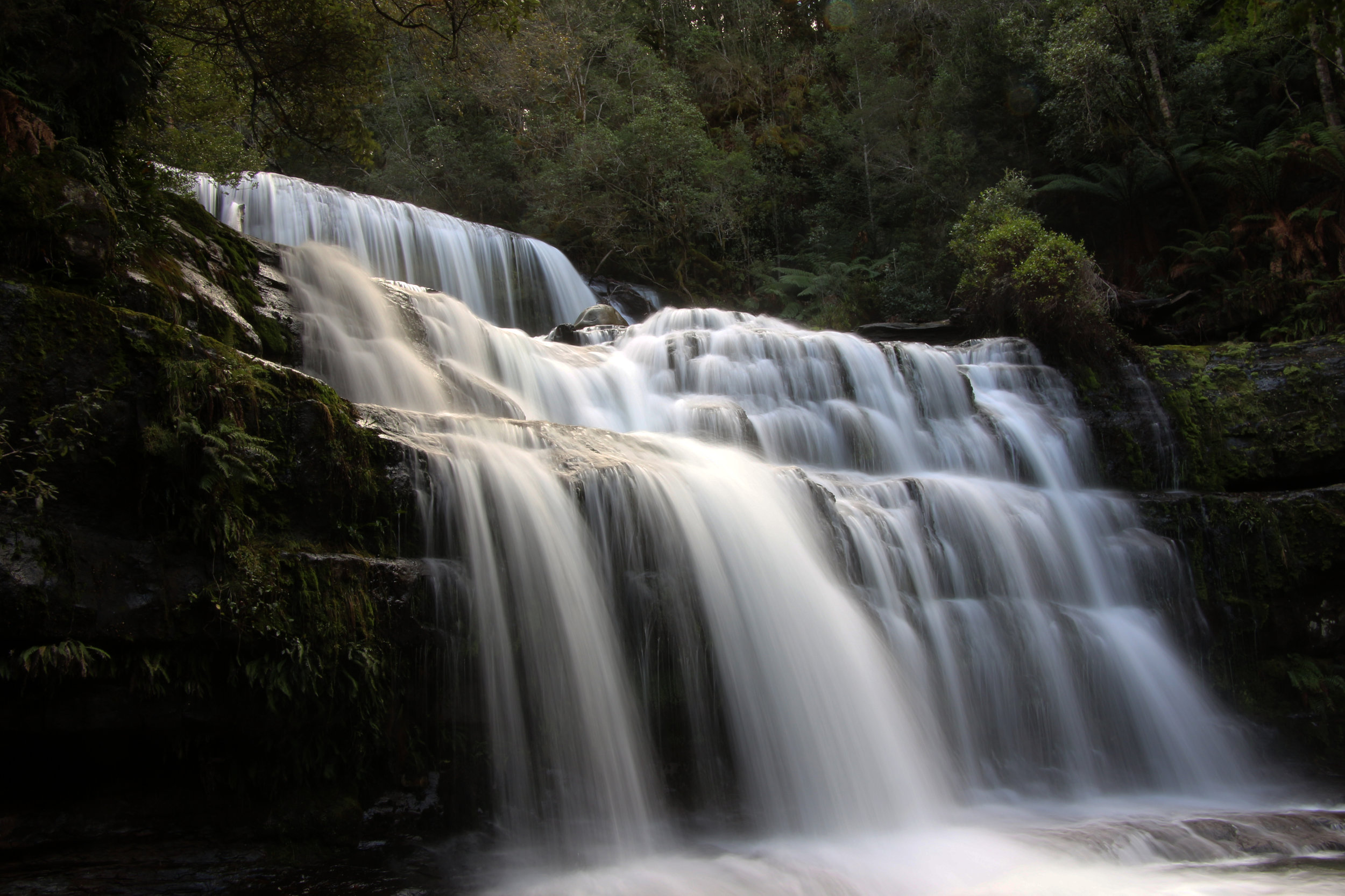 Liffey Falls Reserve