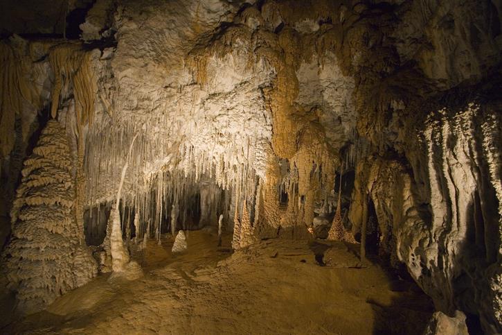  MOLE CREEK KARST NATIONAL PARK 