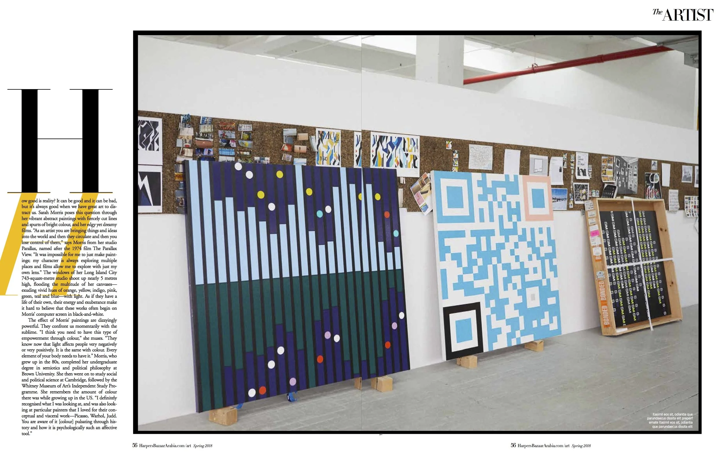 THE ARTIST Sarah Morris (dragged) 1.jpg