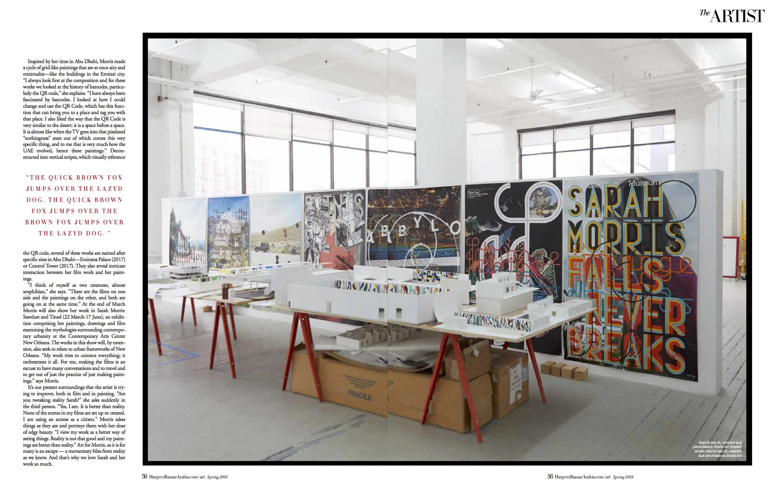 THE ARTIST Sarah Morris (dragged) 3.jpg