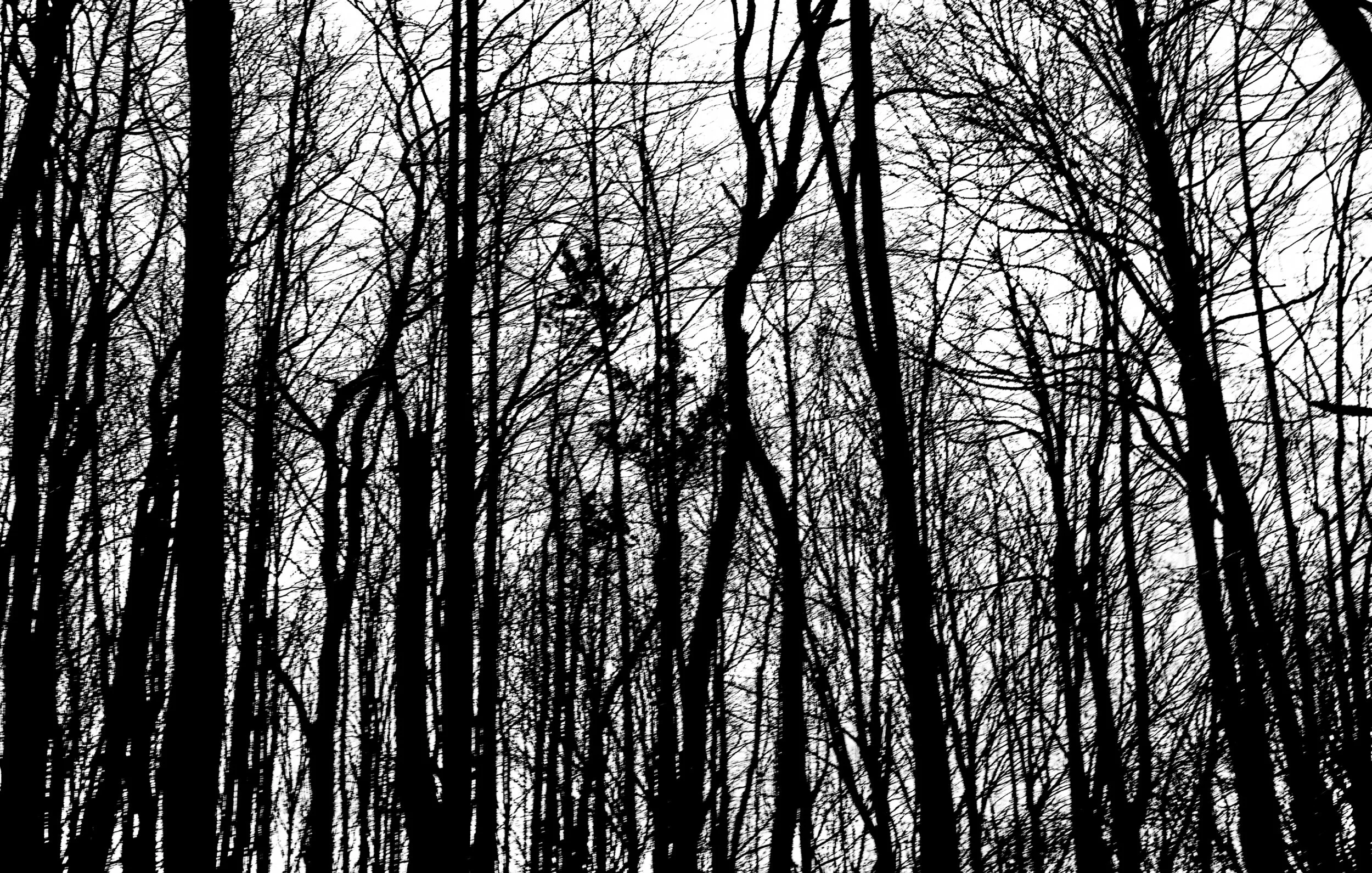 Under Milk Wood.Final-15.jpg