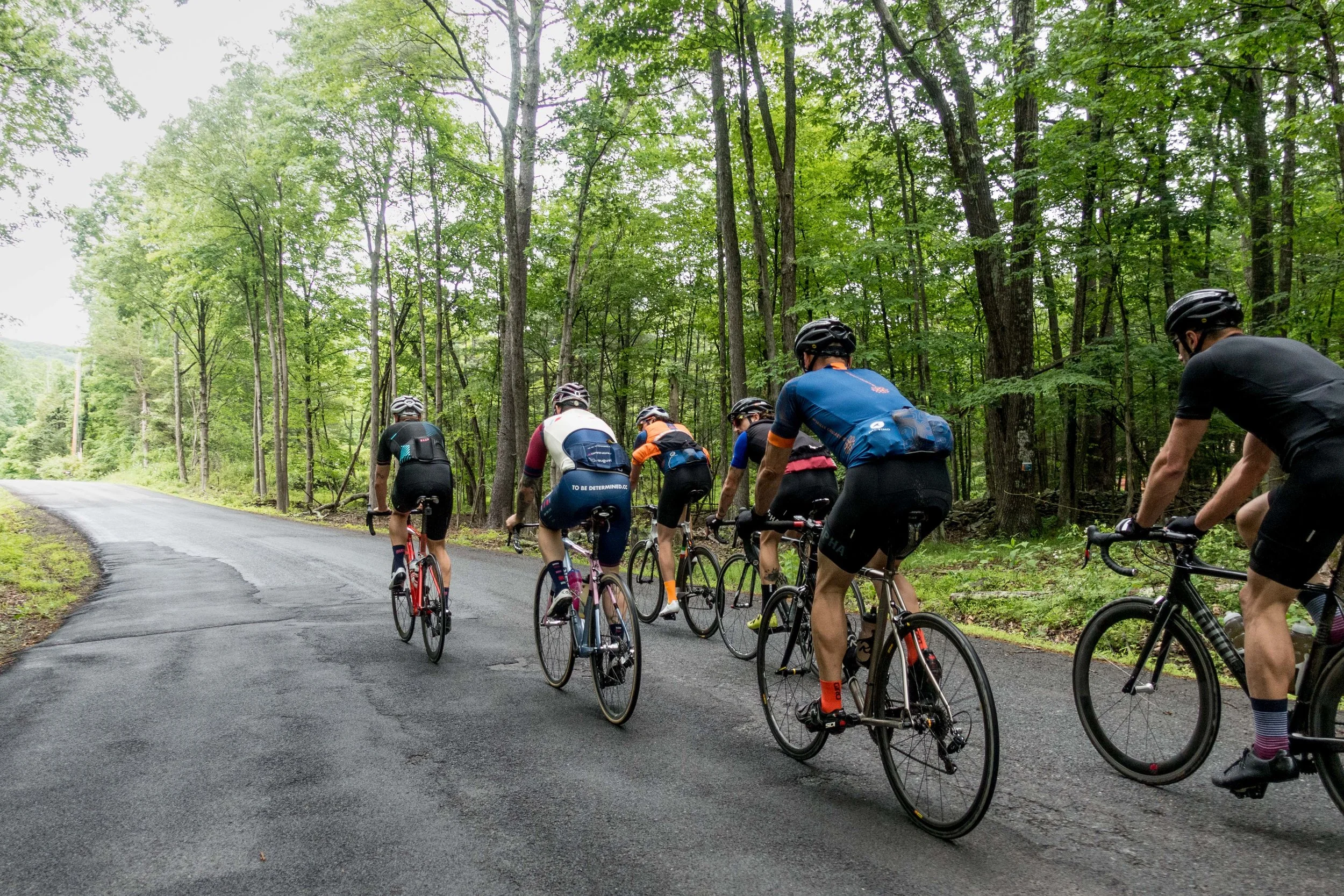 DAY TWO: Early rise to a prepared breakfast • Leave from grounds or travel to starting point • 60-100 mile ride • Mid-ride stop for refueling • Post ride snacks before stretch and recover session • Dinner and entertainment