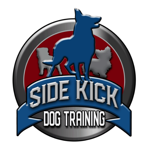 springfield sidekick dog training springfield sidekick dog training