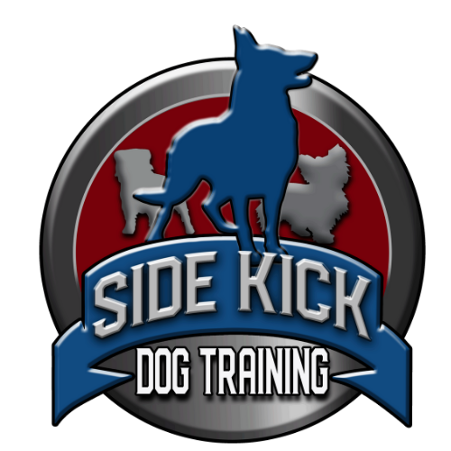Springfield Side Kick Dog Training