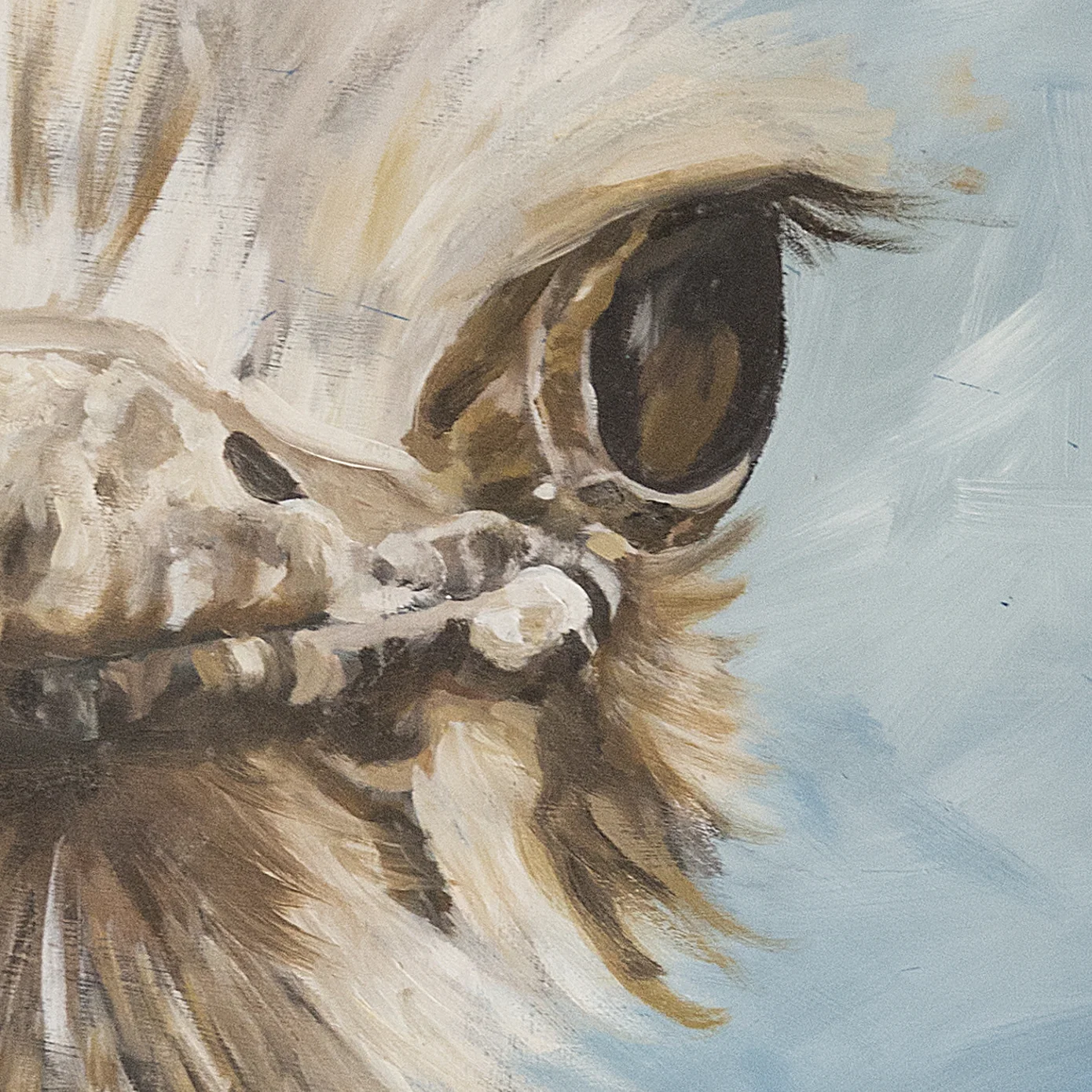Ostritch_CU_02.jpg