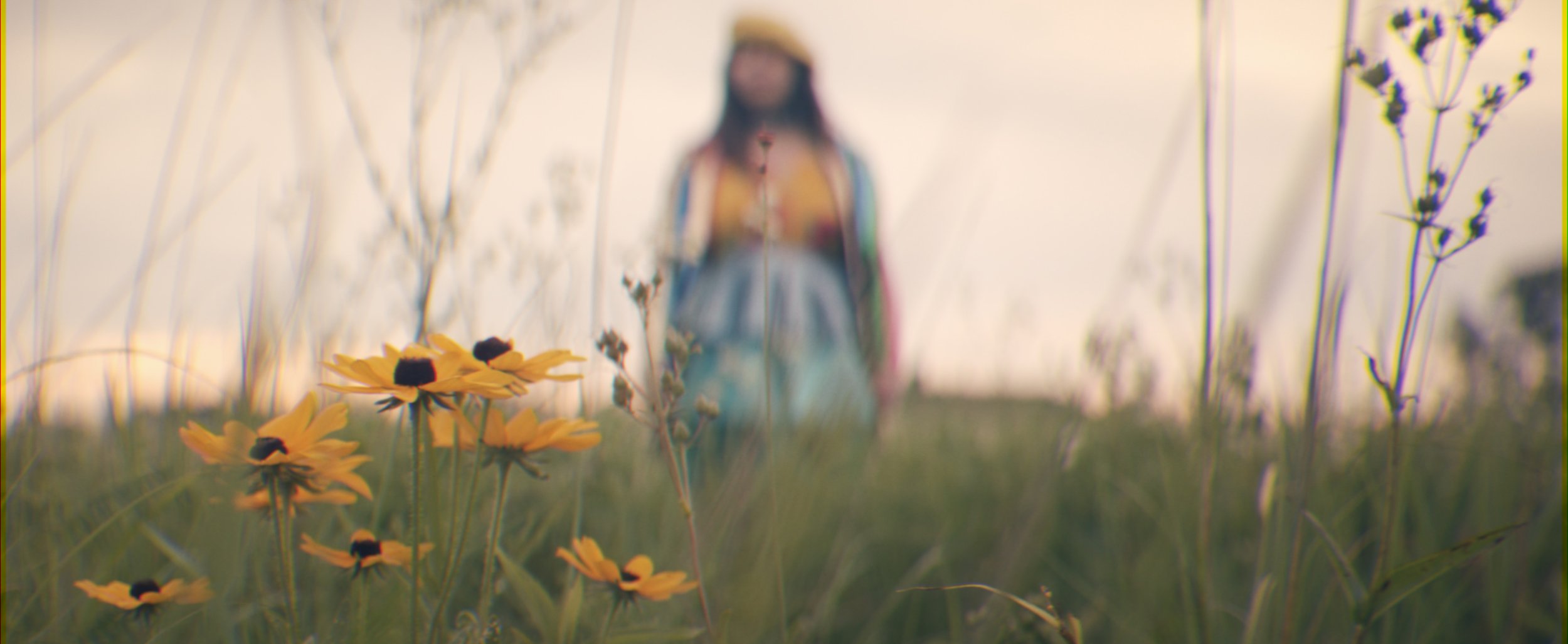 screen shot 2019-07-18 at 12.48.44 am.JPG