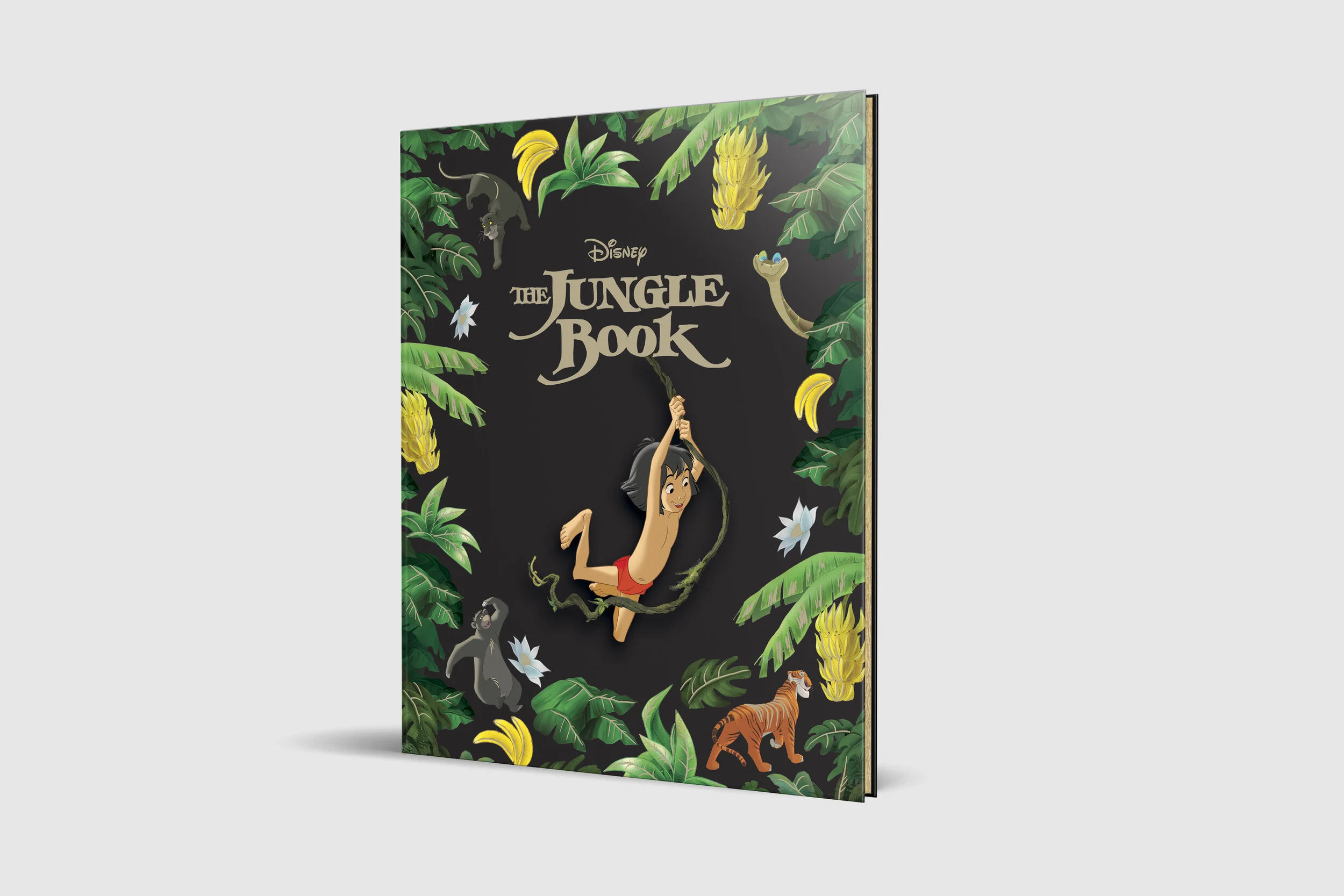 JungleBook_CLASSCOL_mockup.jpg