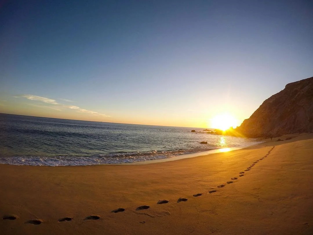 Unreal sunsets in #LosCabos #Mexico 🌅 .
.
.
#VisitMexico #travel #gopro #sunset #beach #ocean #goodvibes #cabo #mx #iamatraveler #instatravel #travelstoke #travelphotography