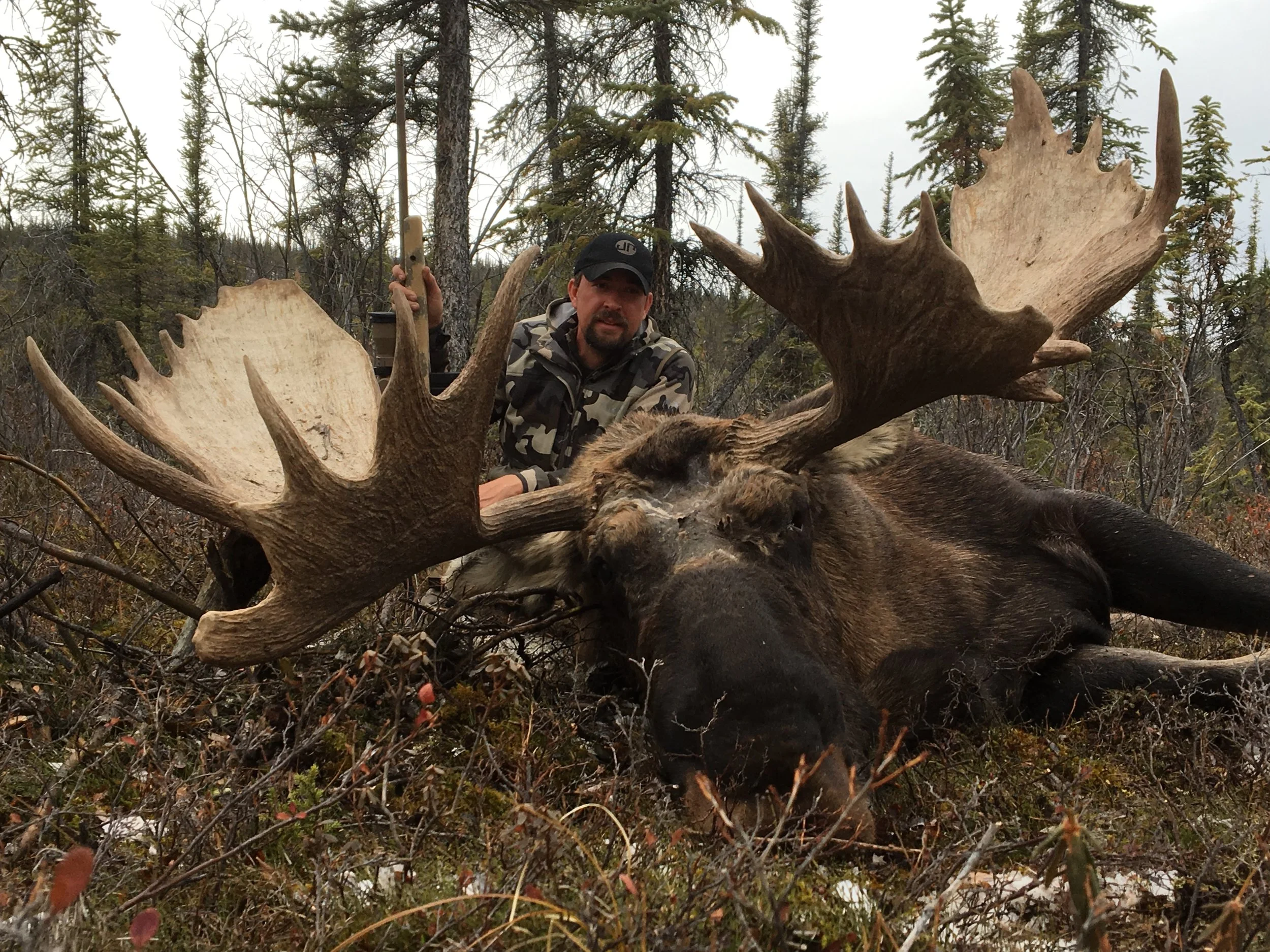 Mark Springer and his moose; Fall 2016
