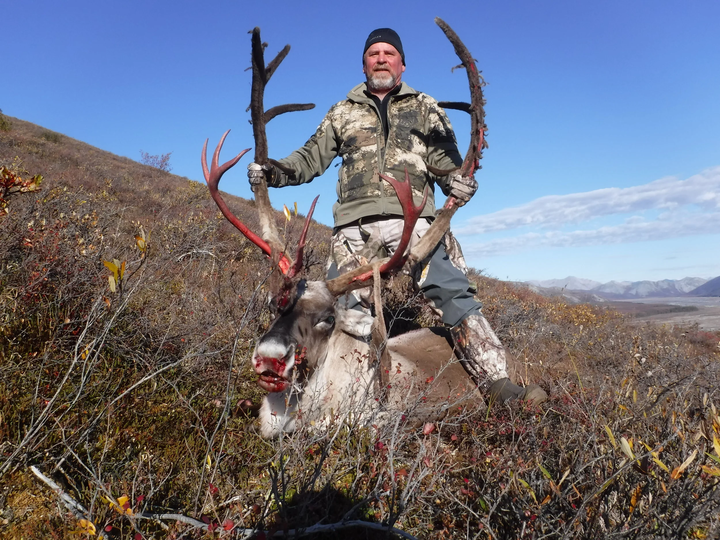 Frank and his caribou; Fall 2016