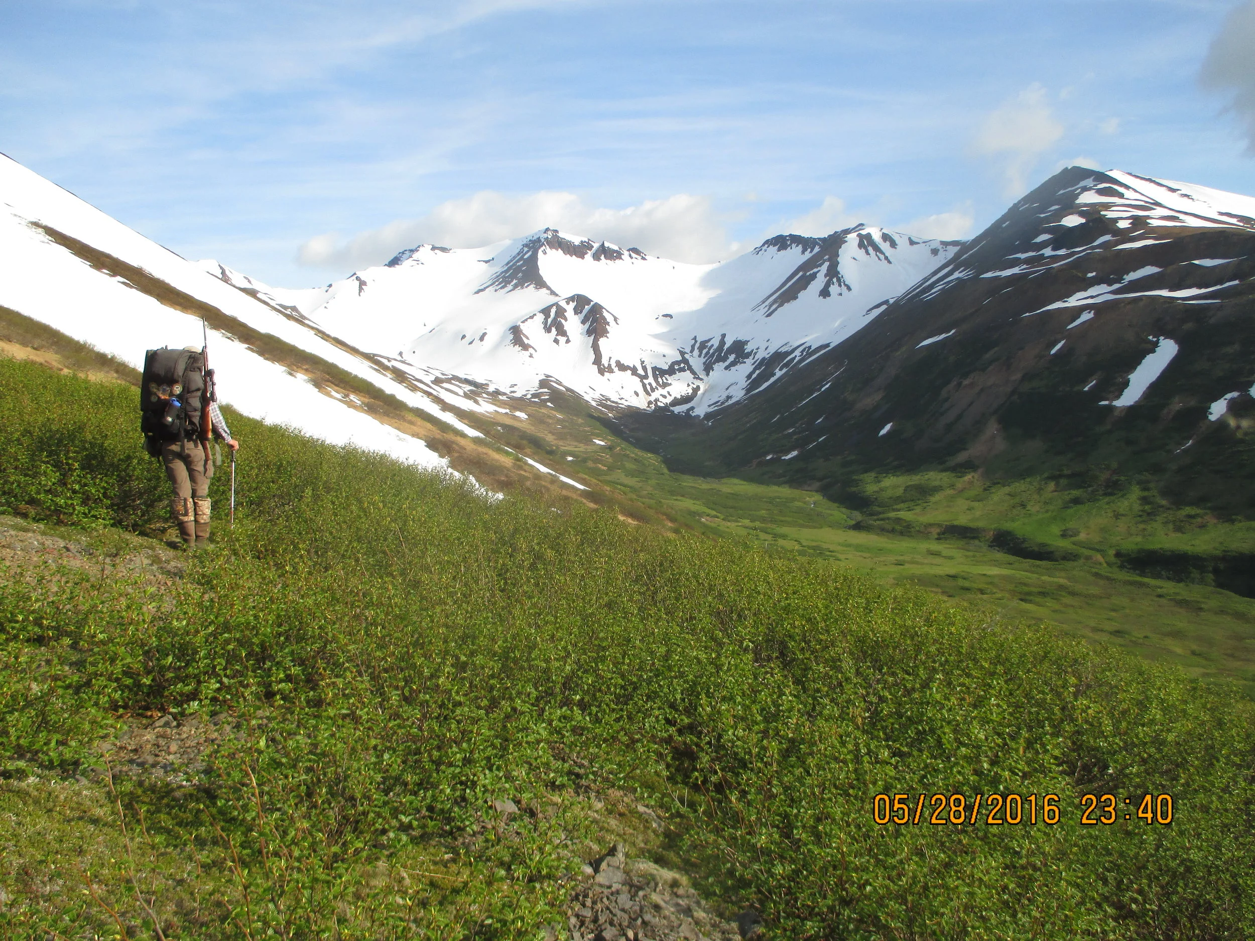 Searching for bear on the Alaska Peninsula; Spring 2016