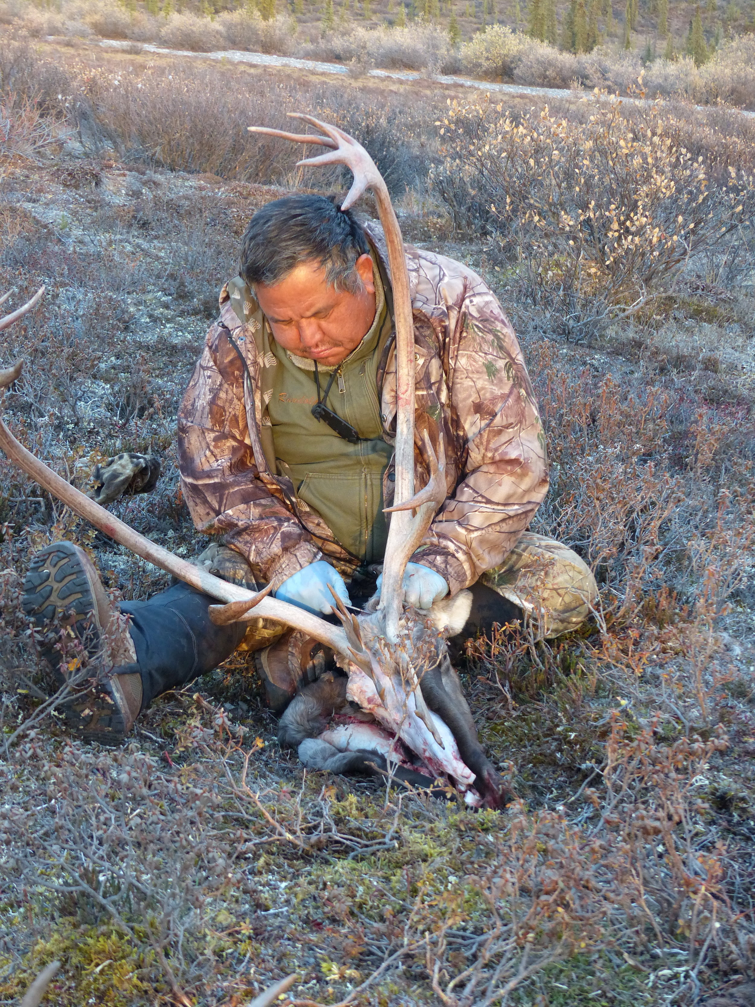 Randy cleans his caribou skull