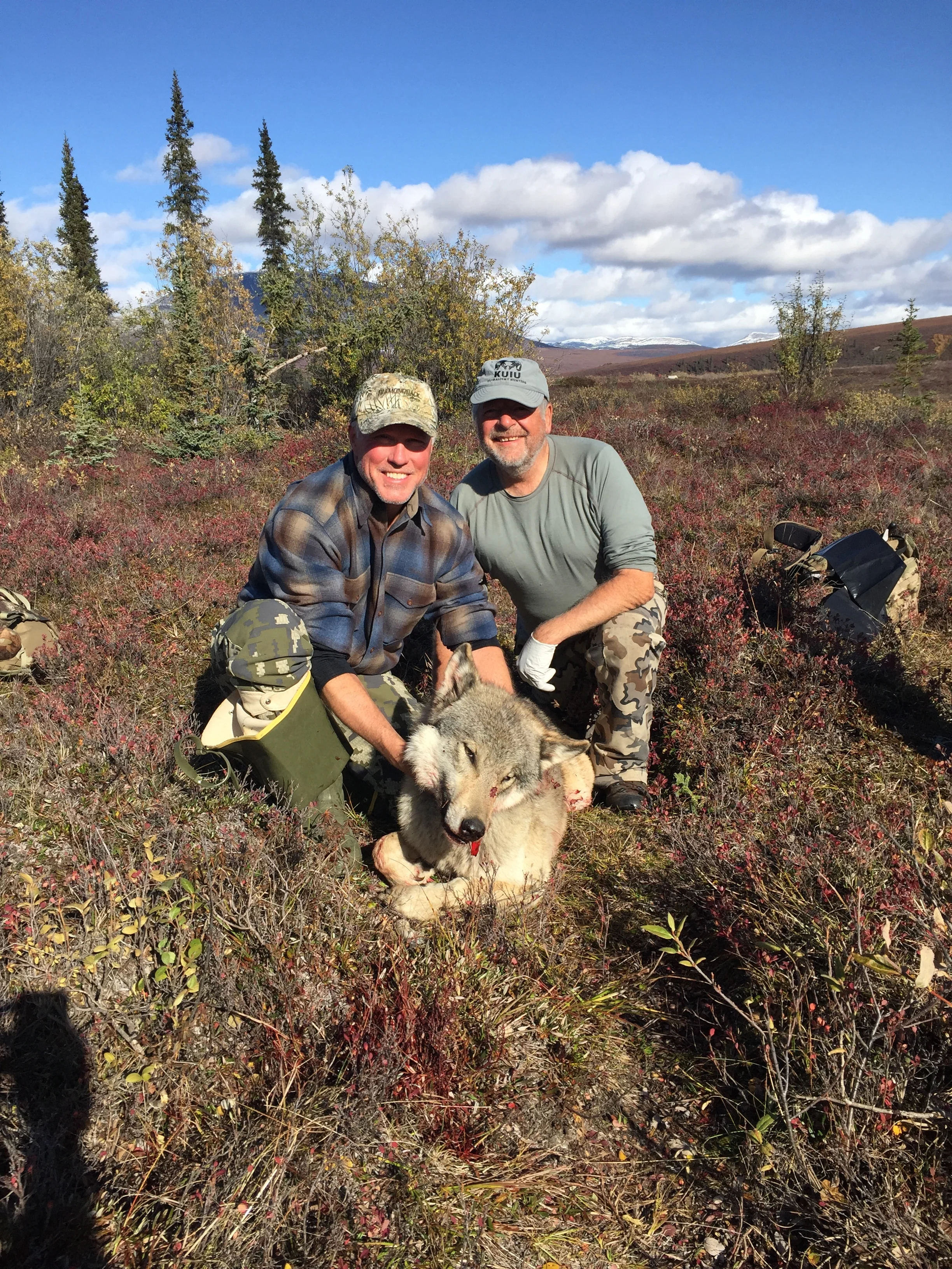Hunter Greg Fitzgerald and guide Keele with Greg's wolf - Fall 2017