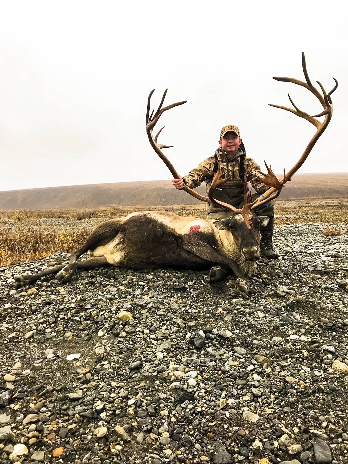 Tysen and his caribou, Brooks Range; Fall 2018