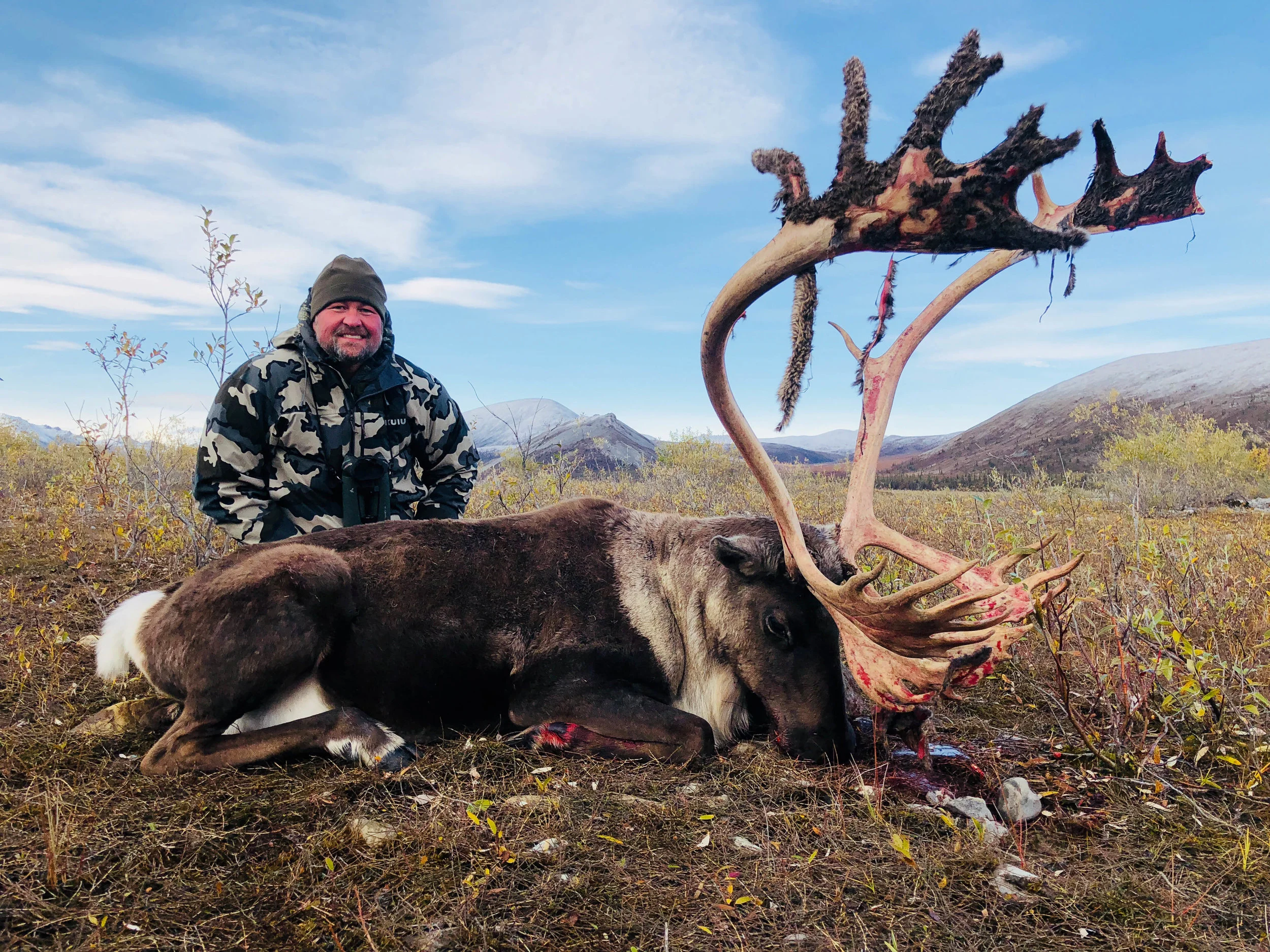 Scott Ashbrook with caribou, Brooks Range; Fall 2018