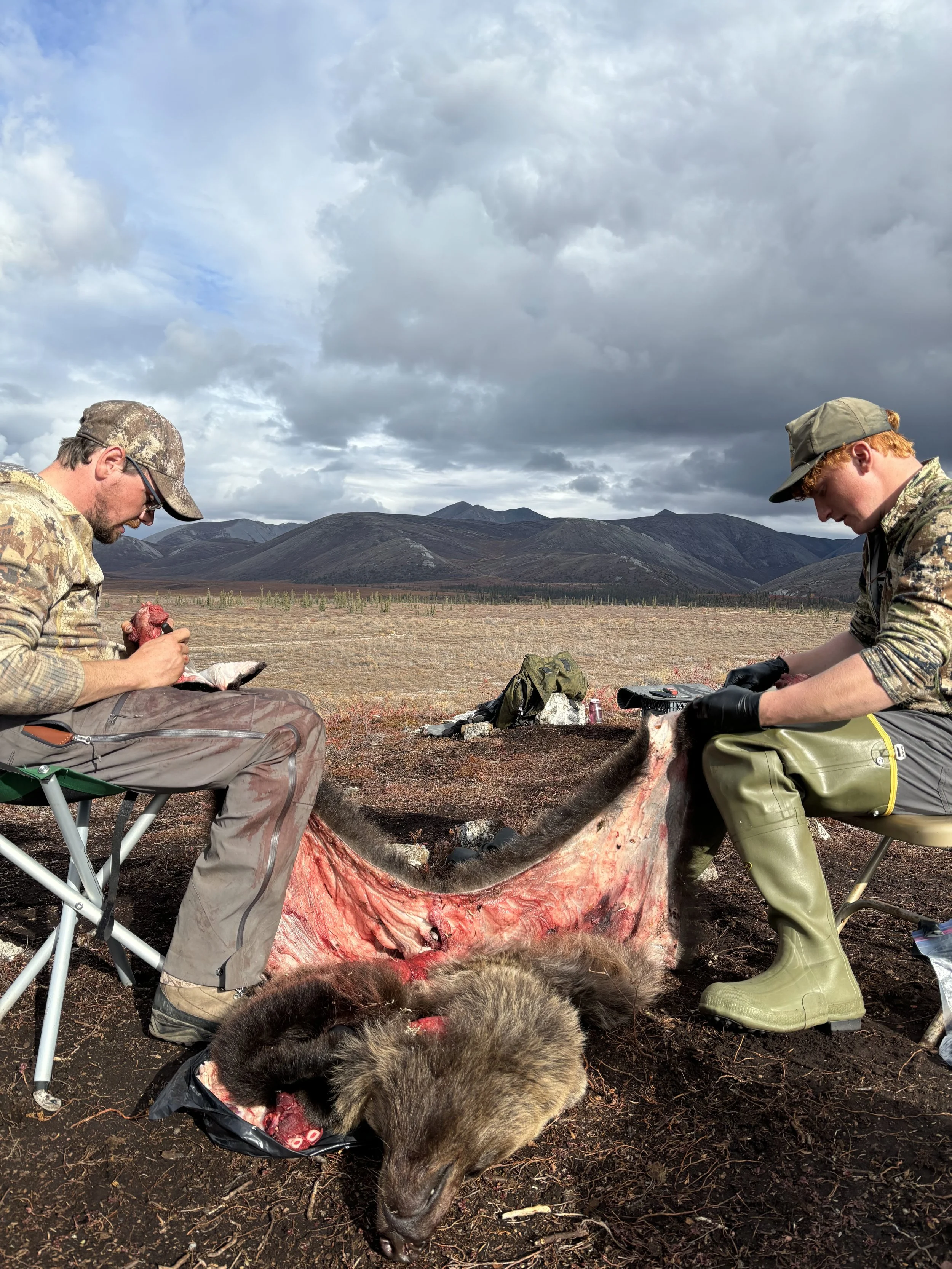 Austin M. and Aiden L. flesh a bear hide in the field