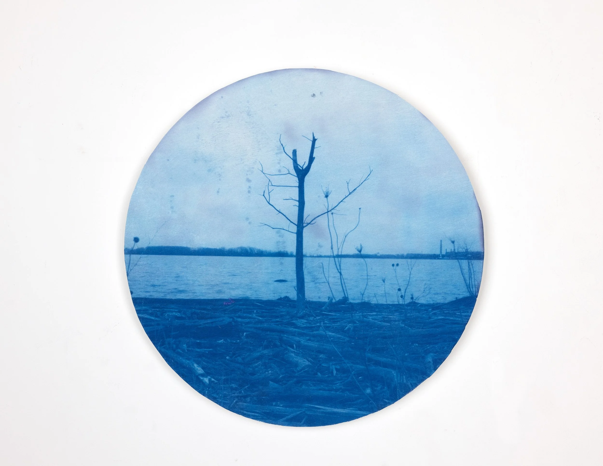 LastOneStanding_CircleCyanotype_Sold.jpg