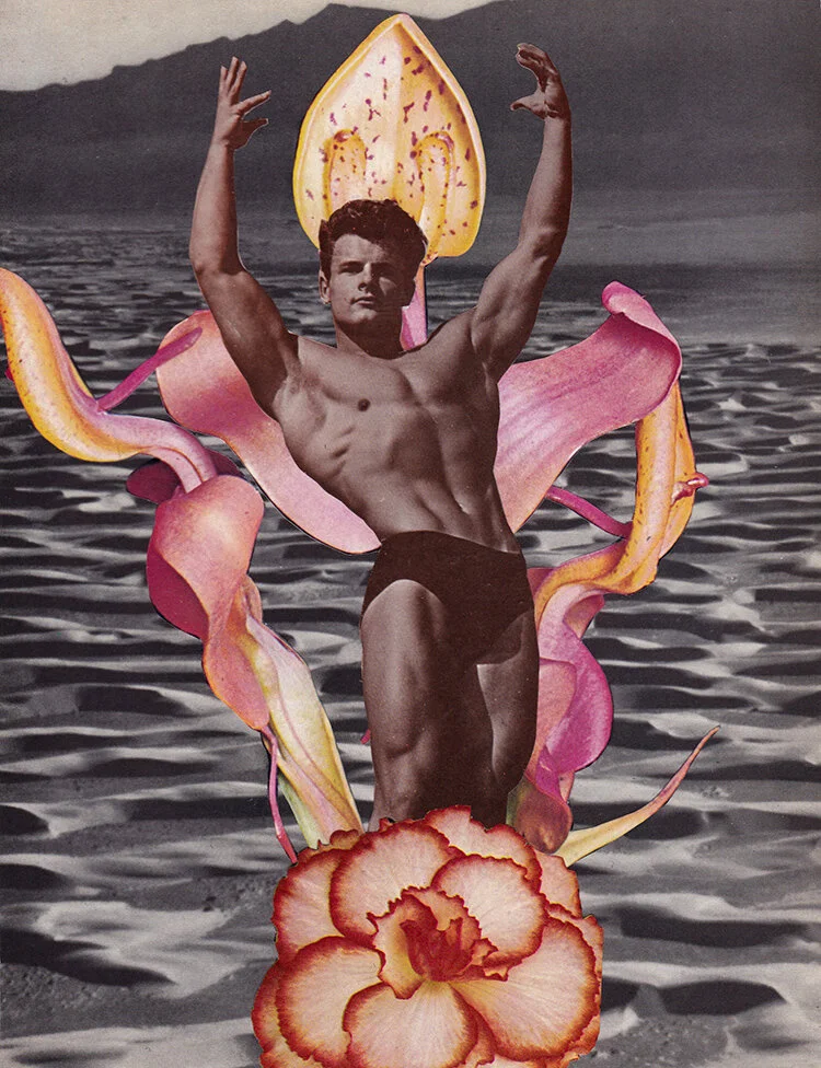 Adonis as Venus for internet.jpg