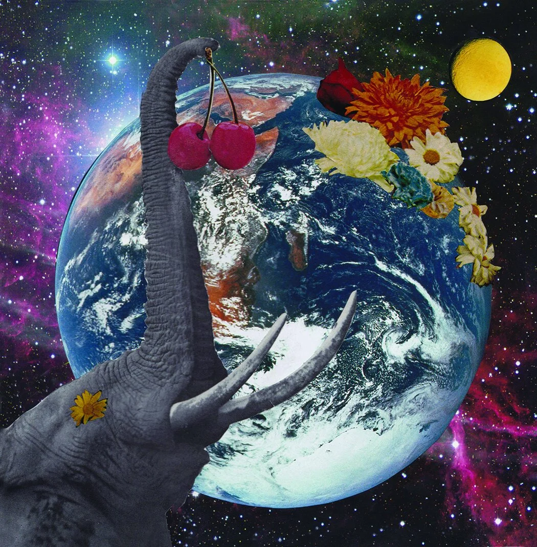 Cherry Picker for internet.jpg