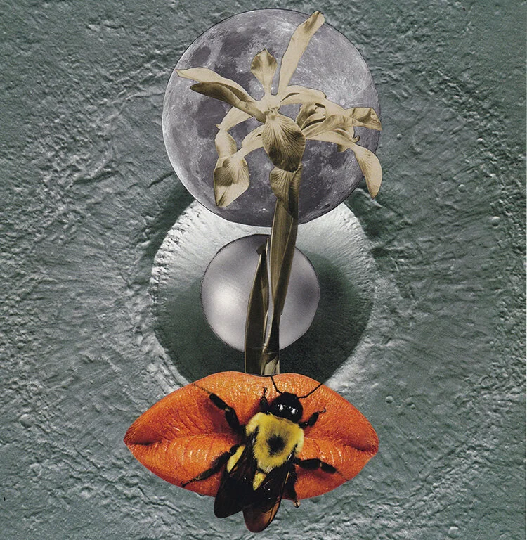 Home Remedy for internet.jpg