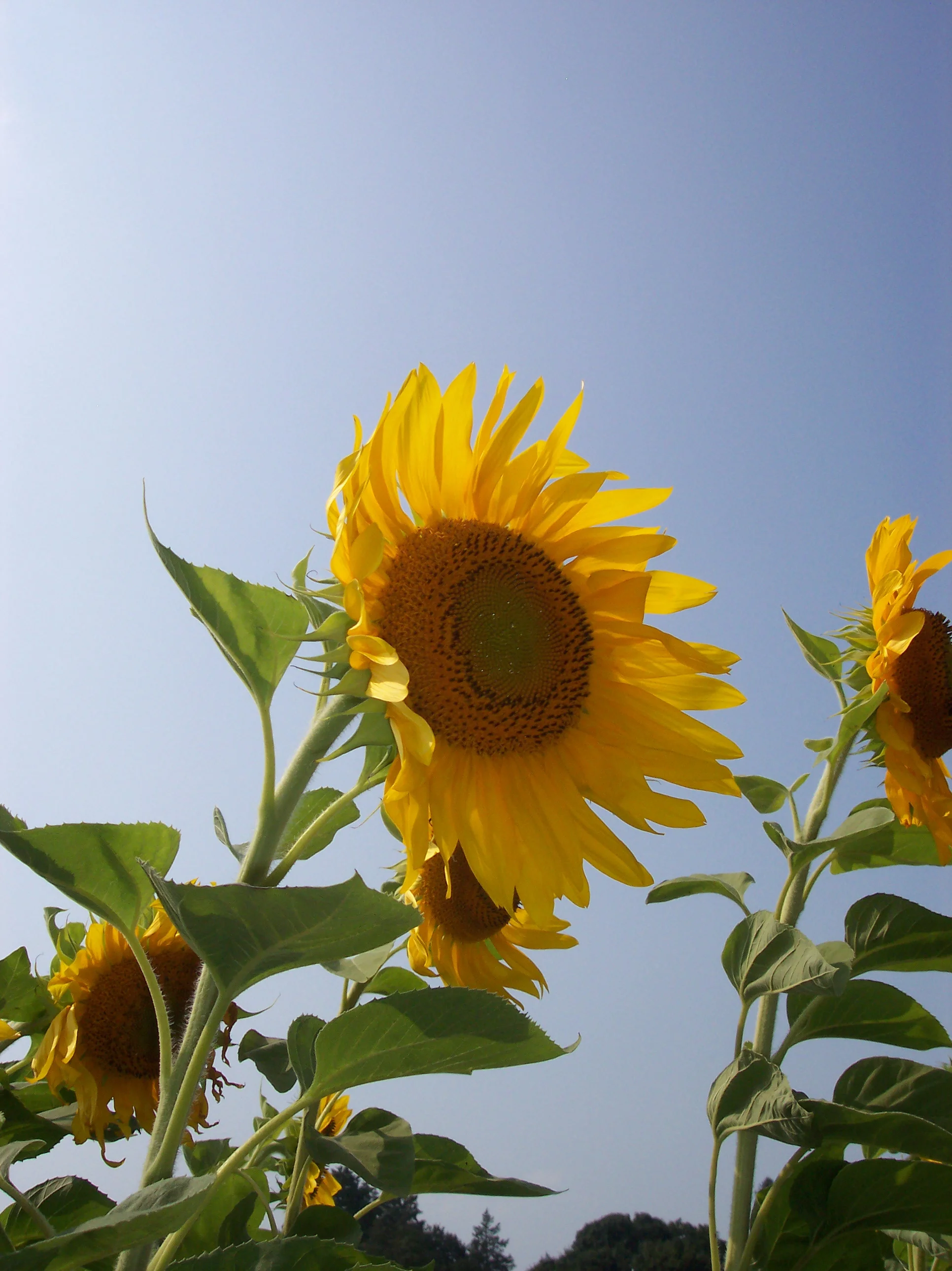 000_0027 6.JPG