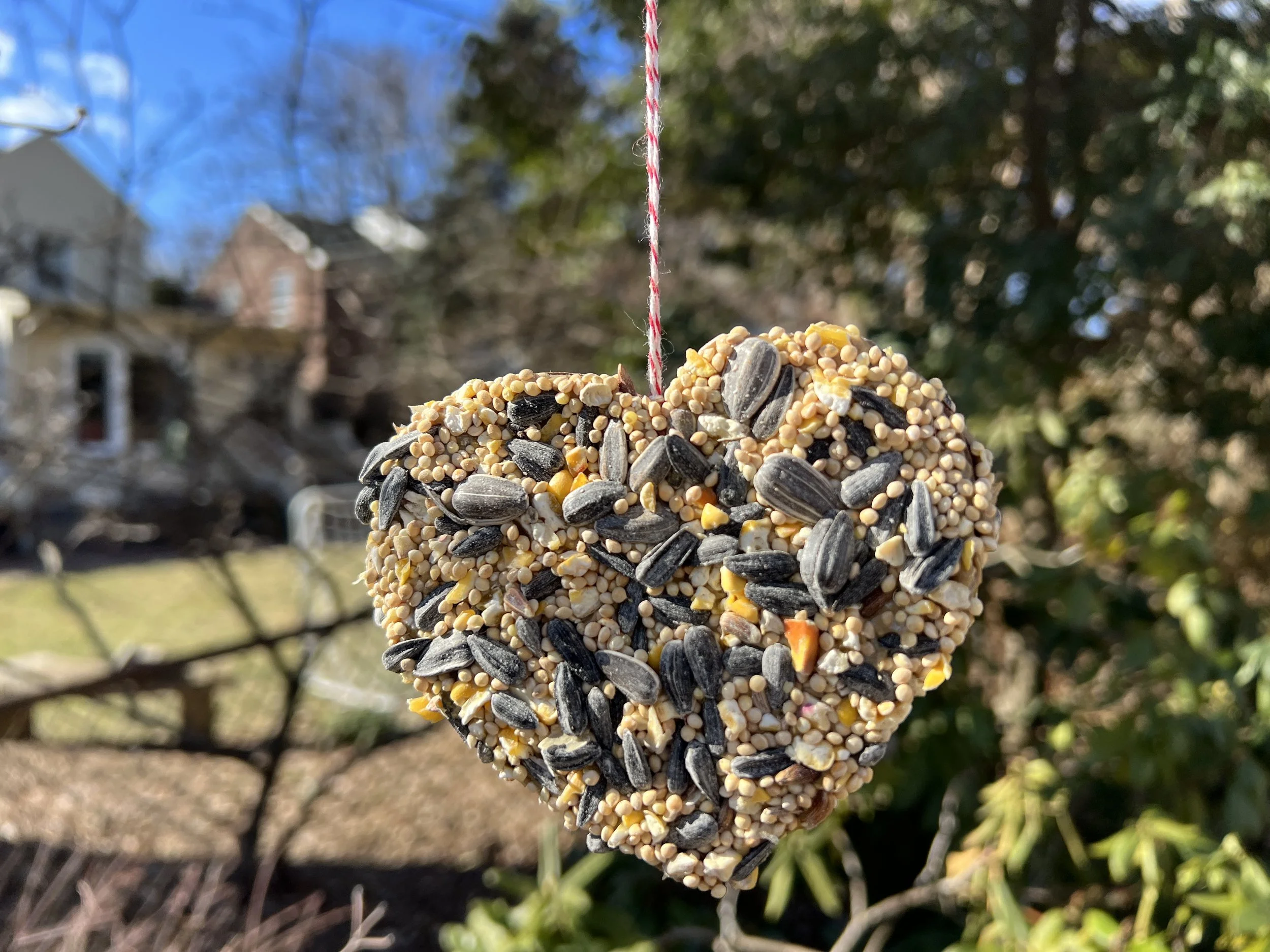 Birdseed Hearts