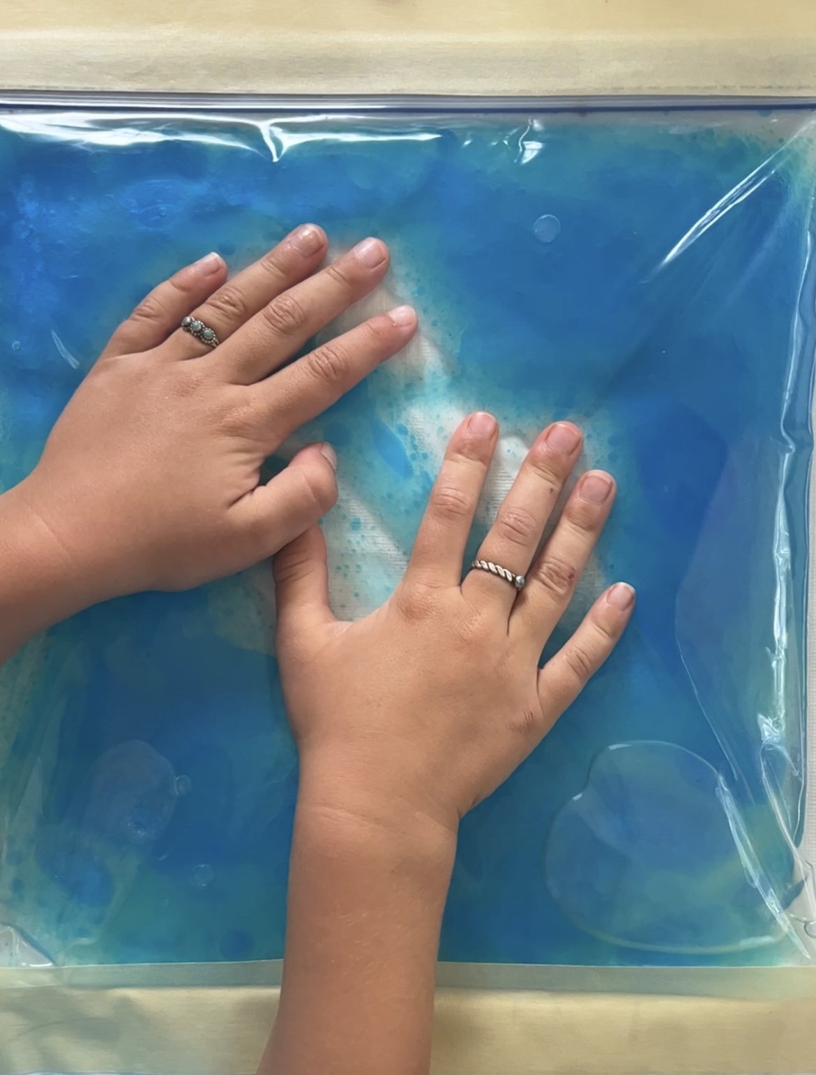 Oil + Water Sensory Bags 