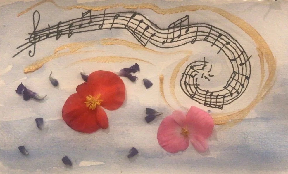 Screen Shot 2020-06-13 at 12.26.07 am.jpg