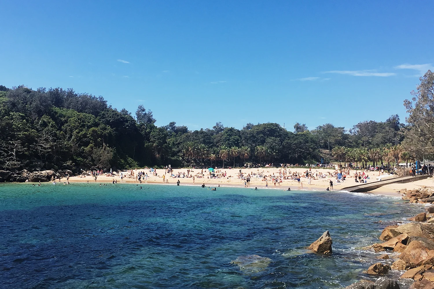 Shelly Beach
