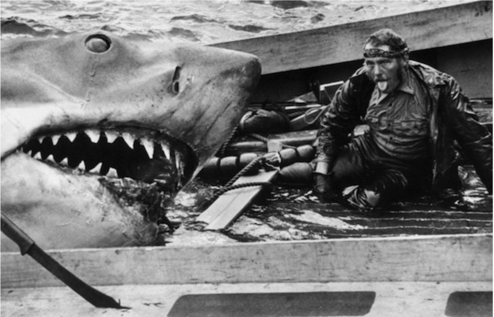 What Quint Means To Me A Filmmaker Recounts — The Daily Jaws