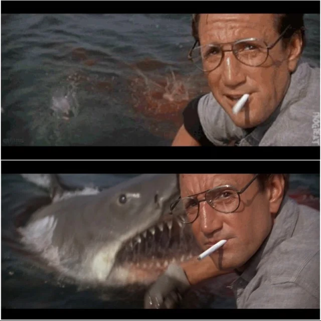 Why Is JAWS Still Considered The Greatest Shark Movie Of All Time ...