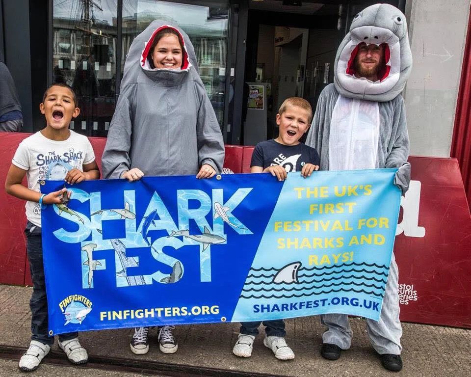SharkFest Competition!