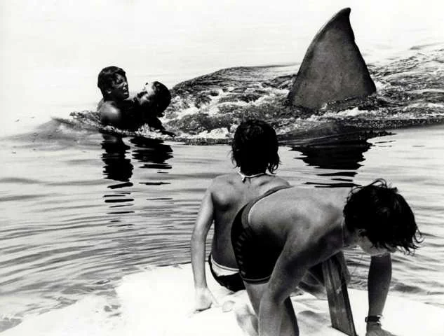 jaws-ted-grossman.jpg