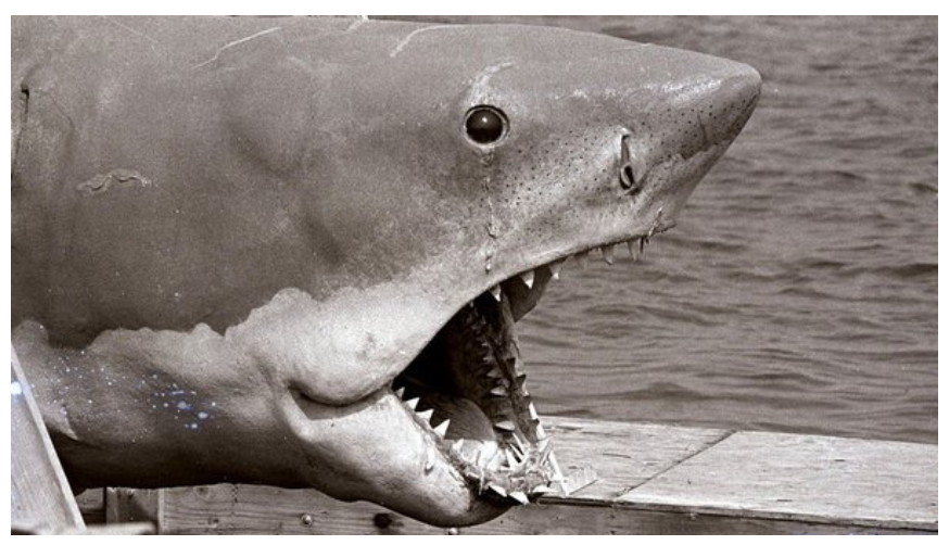Bruce: The Beautiful Terror of a Mechanical Shark