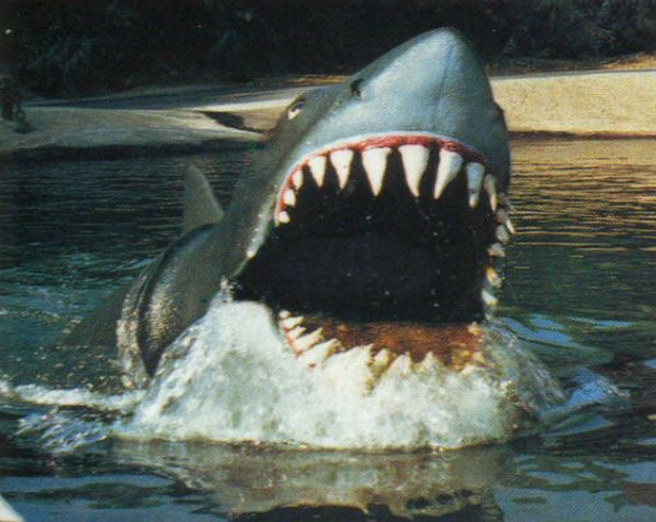 Bruce: The Beautiful Terror of a Mechanical Shark — The Daily Jaws