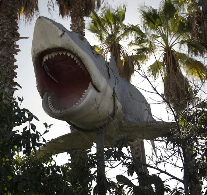 Junkyard Jaws
