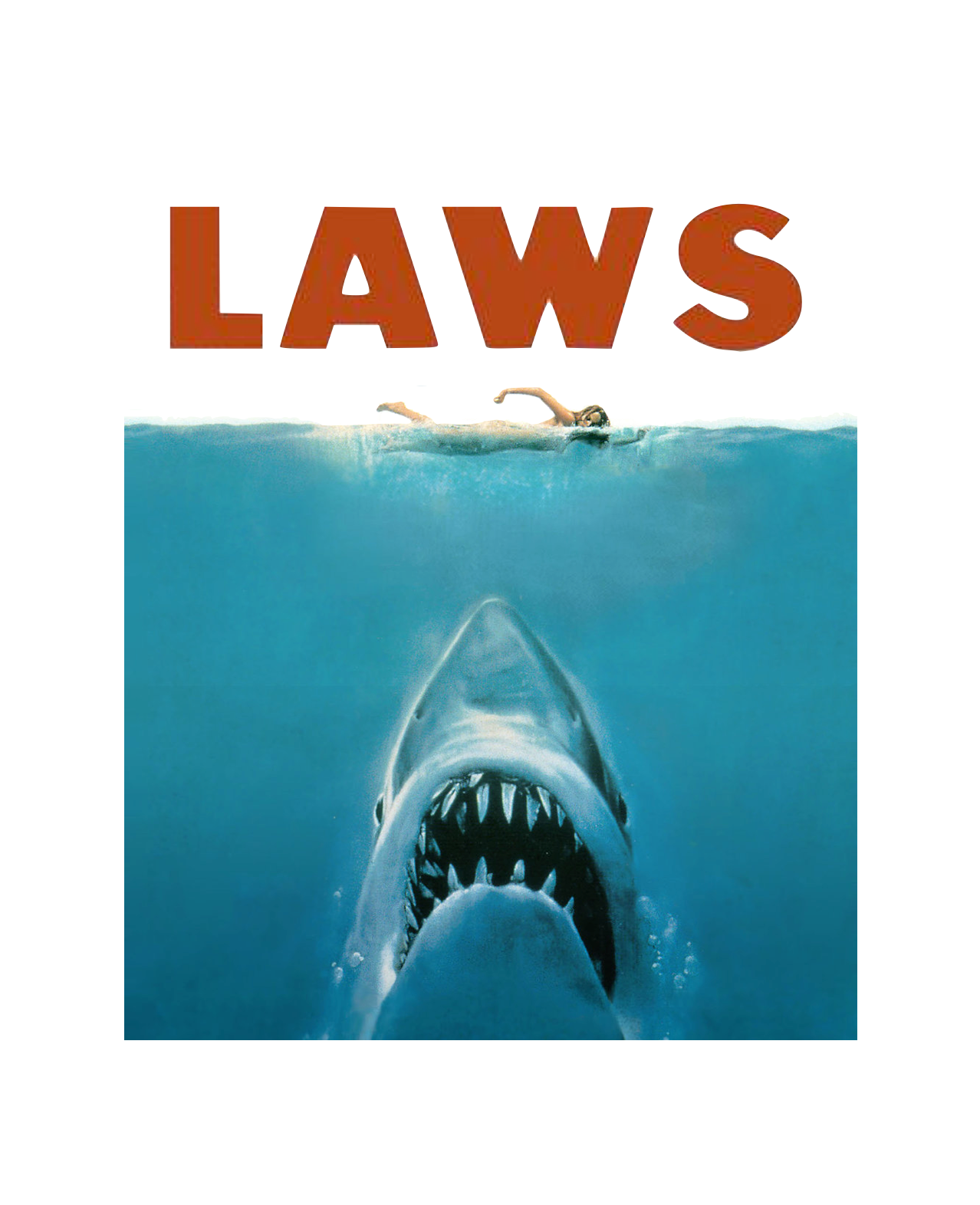 JAWS LAWS