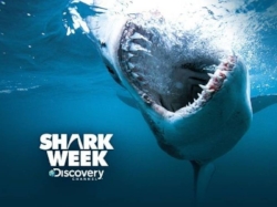 Shark-Week-2017.jpg