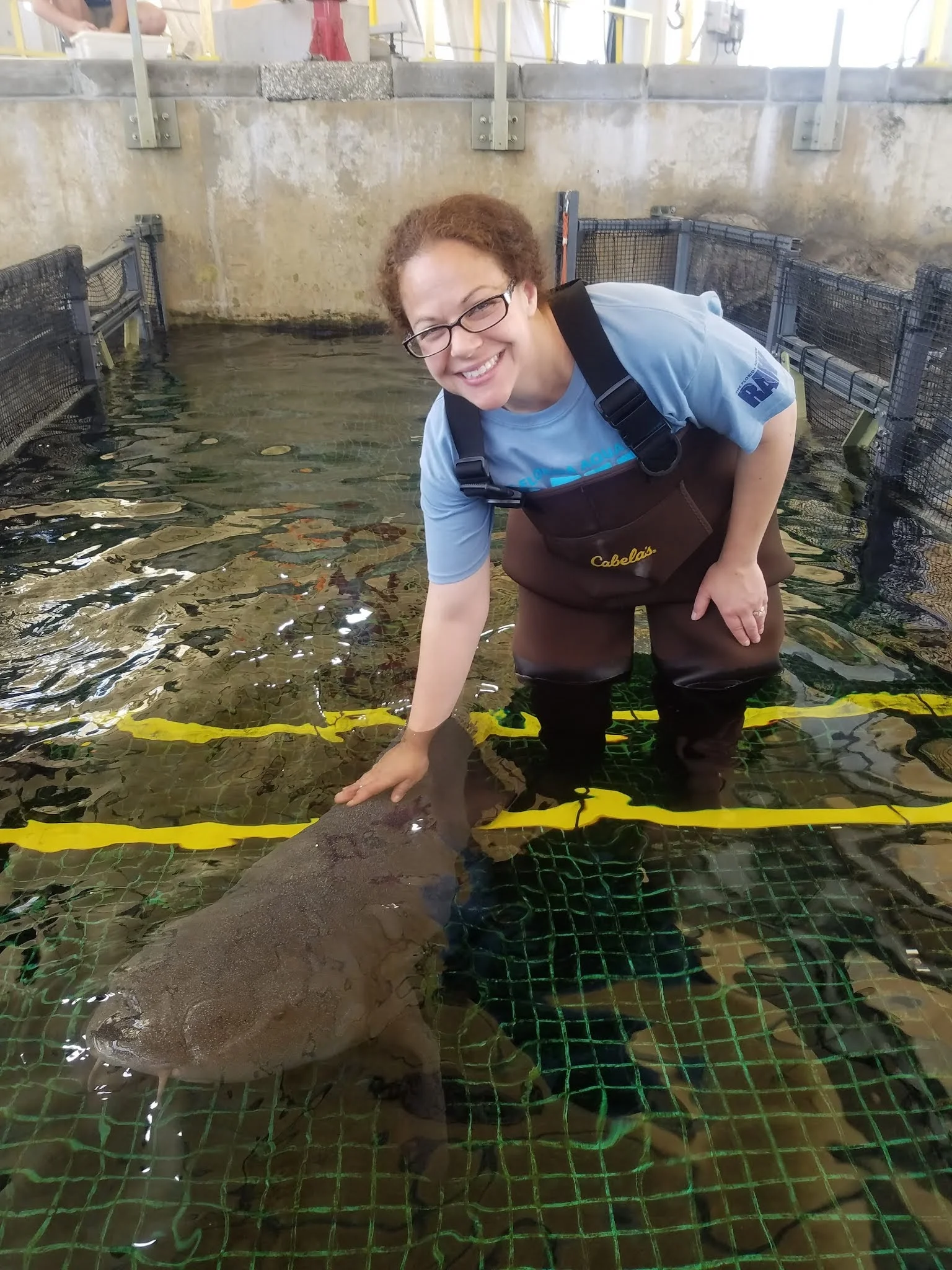 Shannon working with a nurse shark