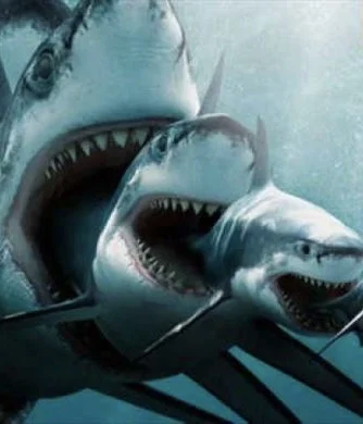 Clash of the titans: Jaws and The Meg by numbers