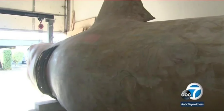 At 25 feet long, working models of this size are a thing of the past.