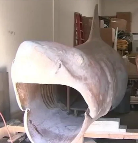 Bruce Almighty: The Restoration Of Bruce The Shark