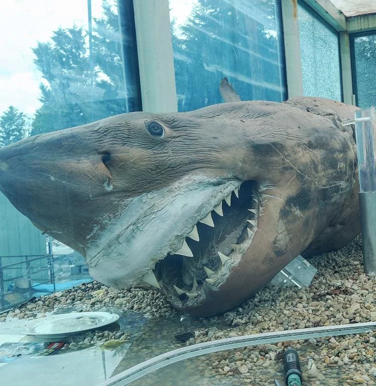 Raiders of the Lost Shark