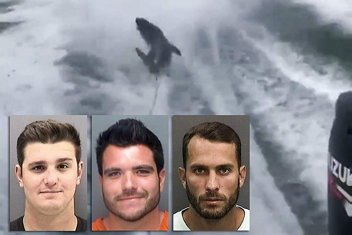 Michael Wenzel, center, pleaded guilty to charges filed in a shark-dragging case that arose from a video of the incident. Robert Lee Benac, right, awaits trial in the case and charges were dropped against a third man originally charged, Spencer Heintz.